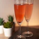 Amara Andrew- Tequila Rose Recipe