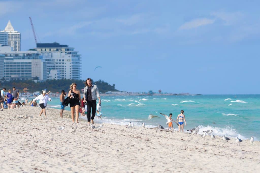 Jeff Sarris & Amara Andrew Miami Beach February 2026